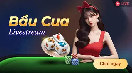 km88 sân chơi livestream bầu cua